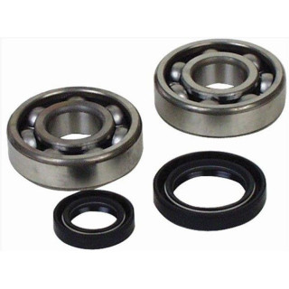 KIT ROULEMENTS ET SPI DE VILEBREQUIN ALL BALLS TRAIL BOSS 330 03/14