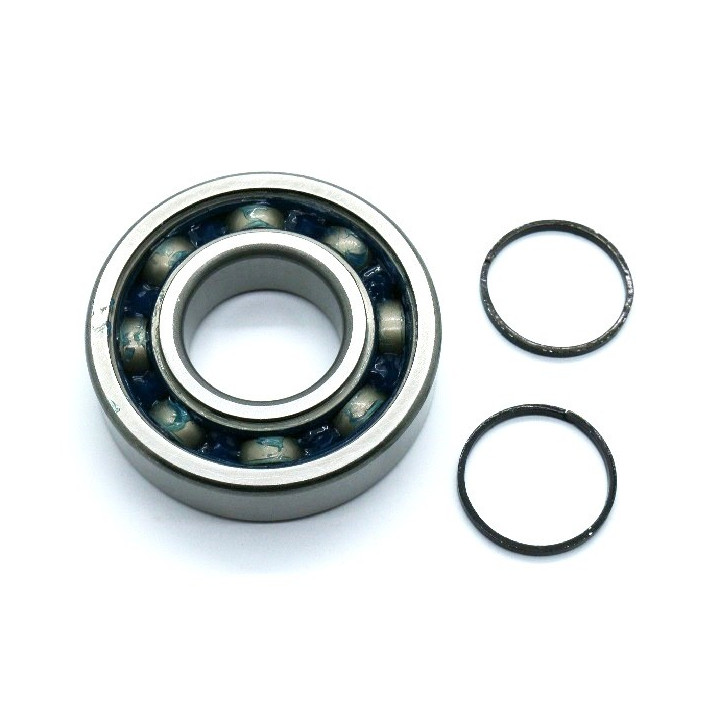 KIT ROULEMENTS VILEBREQUIN HOT RODS YFM 450 WOLVERINE 06/10 