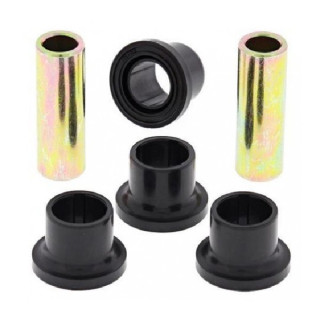 KIT DE RECONDITIONNEMENT DE TRIANGLE SUPERIEUR OU INFERIEUR DS 450 09/12
