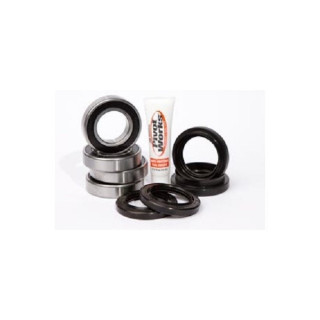 ROULEMENTS ROUE AVANT PIVOT WORKS BIG BEAR 400 4X4 00/04 ET 07/09 ET JOINTS