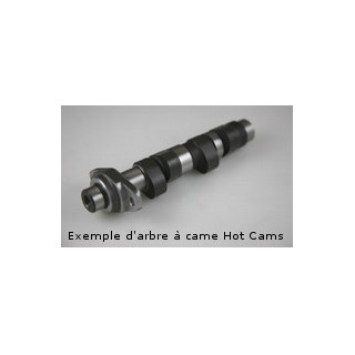 ARBRES A CAMES 500 SCRAMBLER STAGE 1 98-13
