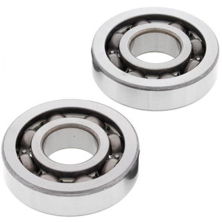 KIT ROULEMENTS ALLBALLS 250 RAPTOR VILEBREQUIN 