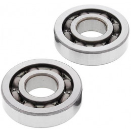 KIT ROULEMENTS ALLBALLS 250 RAPTOR VILEBREQUIN 