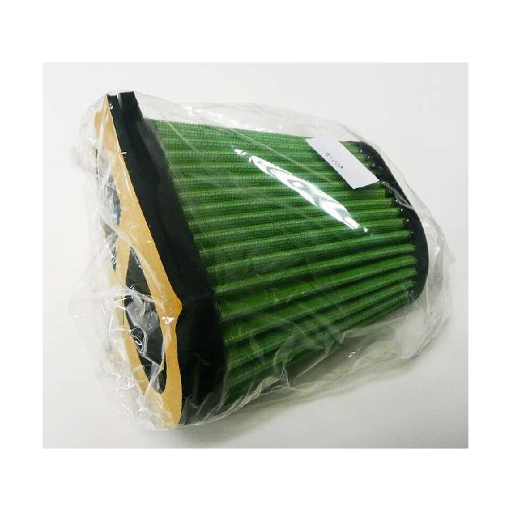 FILTRE A AIR GREEN RAPTOR 660 01/05