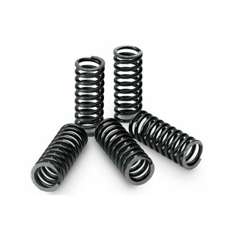 KIT RESSORTS D'EMBRAYAGE STANDARD YAMAHA YFM 700 RAPTOR 06/14 TECNIUM