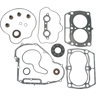POCHETTE COMPLETE DE JOINTS ET SPY MOOSE POLARIS SSV RZR 800 2008-2014