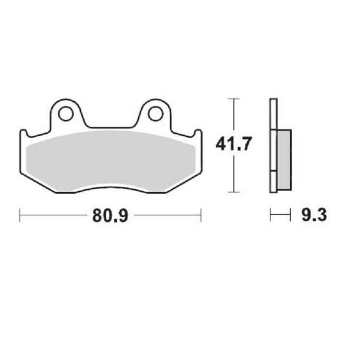 PLAQUETTES DE FREIN MOTO MASTER YAMAHA YFZR 450 ARRIERE