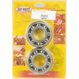 KIT ROULEMENTS 350 RAPTOR VILEBREQUIN 