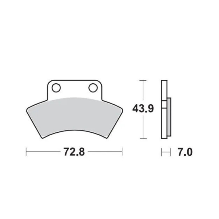 PLAQUETTES DE FREIN ARRIERE MOTO MASTER POLARIS SPORTSMAN 400 1994