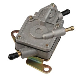 POMPE À ESSENCE MOOSE POUR...