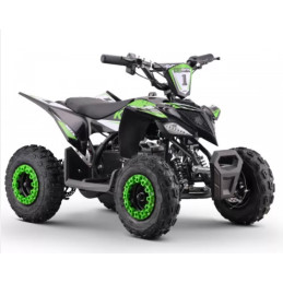 Pocket quad électrique...
