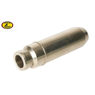 GUIDE SOUPAPE D' ADMISSION OU D' ECHAPPEMENT YAMAHA 350 RAPTOR 2004-2014