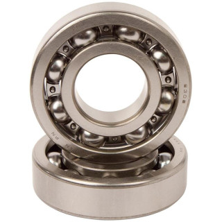 KIT ROULEMENTS DE VILEBREQUIN HOT RODS YAMAHA GRIZZLY 700 2007-21