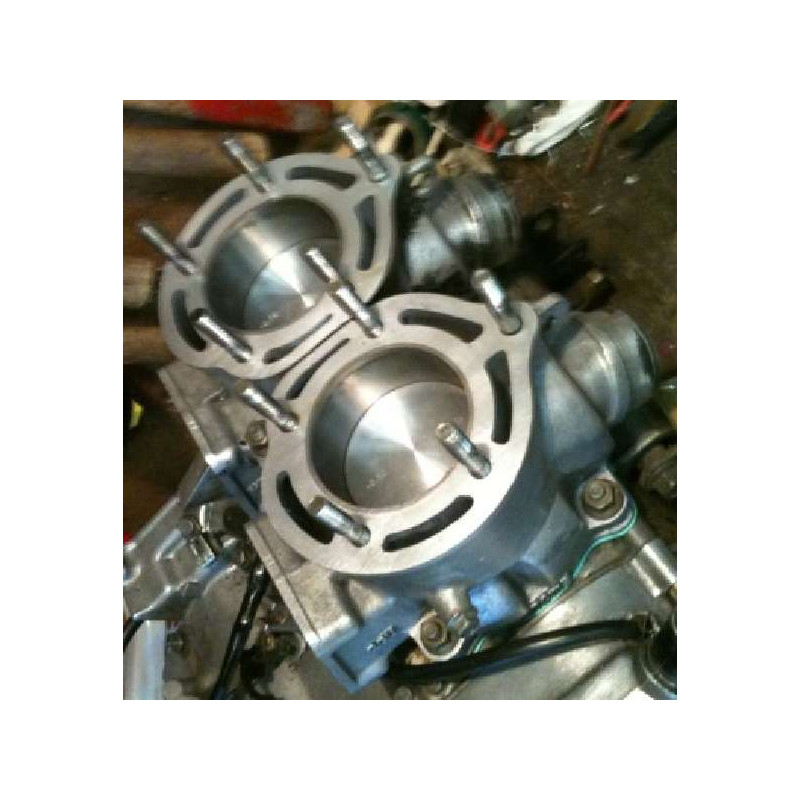 REALESAGE MOTEUR 350 CC BICYLINDRE BANSHEE