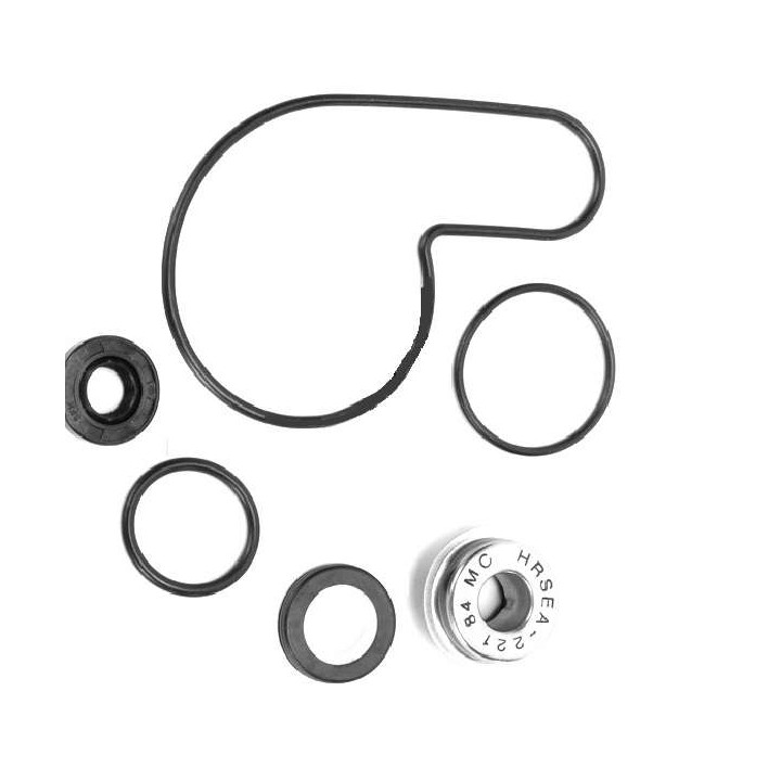 KIT JOINTS POMPE A EAU LTZ 400 06/12