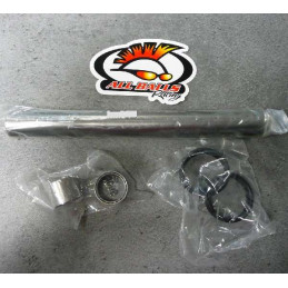 KIT ROULEMENTS 250 RAPTOR BRAS OSCILLANT