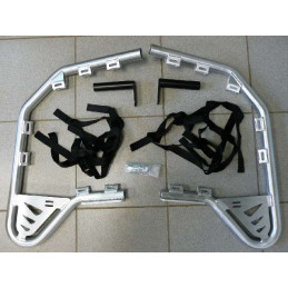 NERF BARS LTR 450 STANDARD ALU 