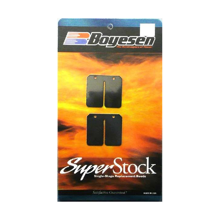 CLAPETS CARBONE BOYESEN 200 BLASTER