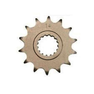 PIGNON 14 DENTS 250 RAPTOR 08/13