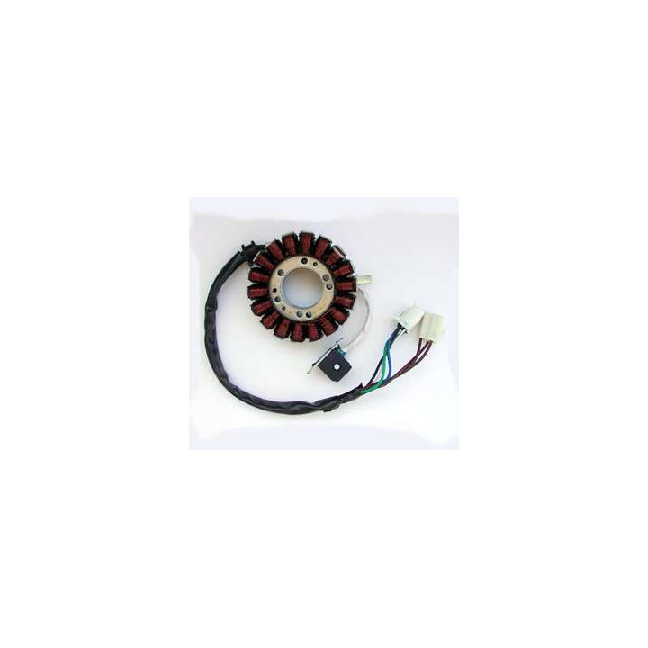 Stator allumage SUZUKI LTR 450 09-11 | MX-Quad