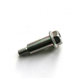 VIS PATIN GUIDE CHAINE ARRIERE LTR 450 D'ORIGINE