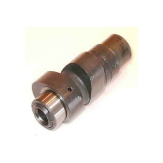 ARBRE A CAMES HOTCAMS RAPTOR 350 STAGE 1 07-14