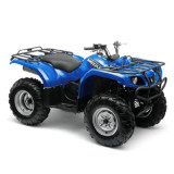 Grizzly 300