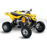 DS 450
